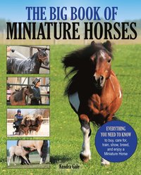 bokomslag Big Book of Miniature Horses