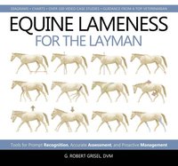 bokomslag Equine Lameness for the Layman