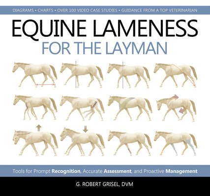 Equine Lameness for the Layman 1