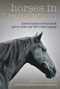 bokomslag Horses in Translation