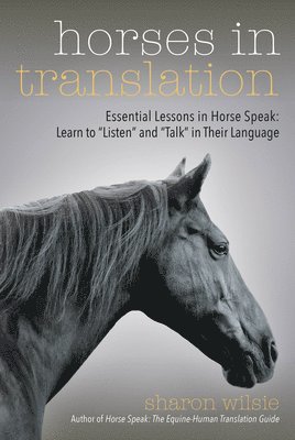 Horses in Translation 1