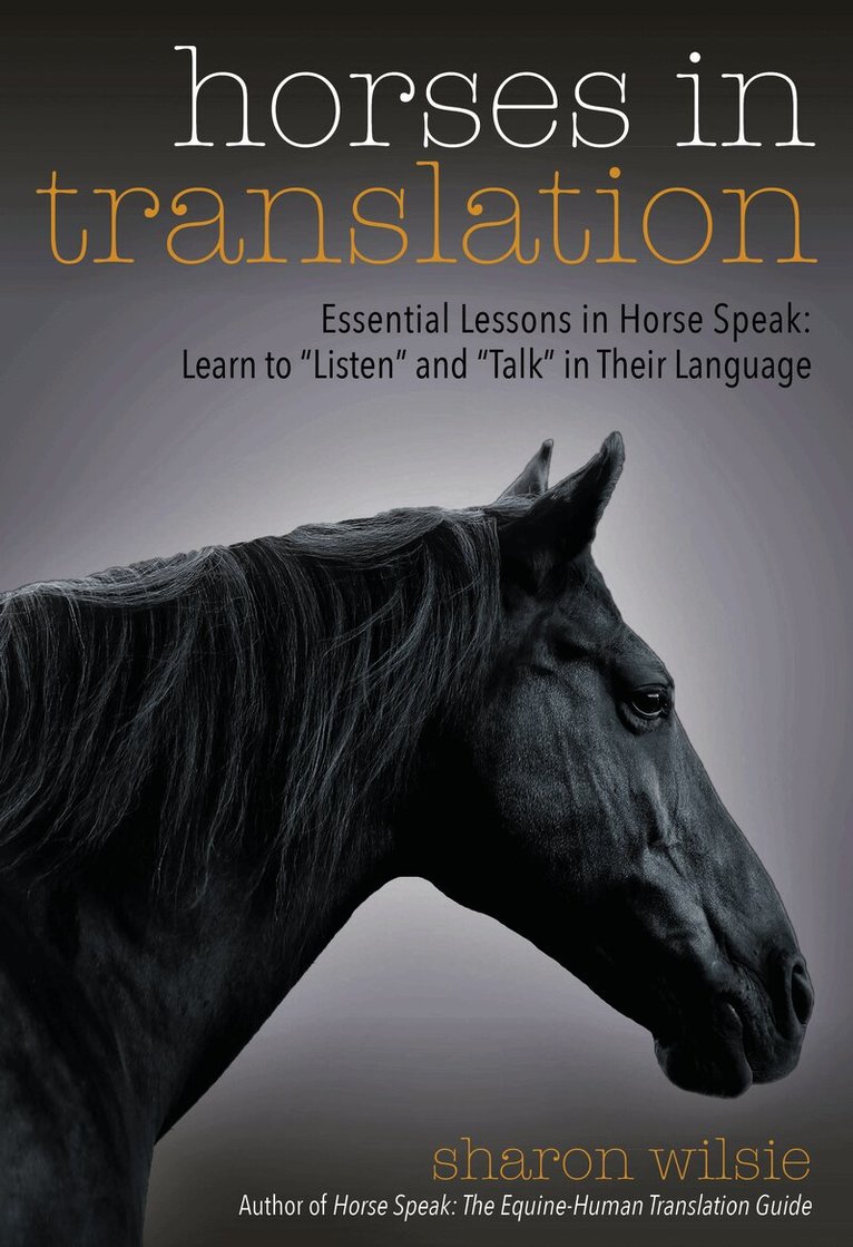 Horses in Translation