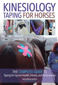 bokomslag Kinesiology Taping for Horses