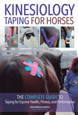 Kinesiology Taping for Horses 1