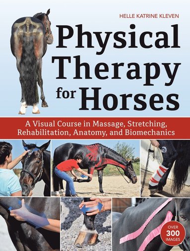 bokomslag Physical Therapy for Horses