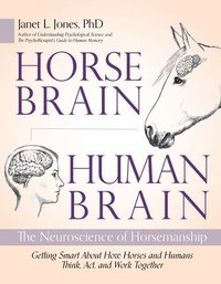 bokomslag Horse Brain, Human Brain