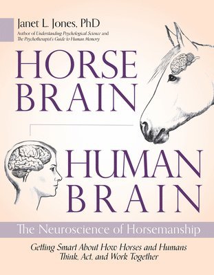 Horse Brain, Human Brain 1