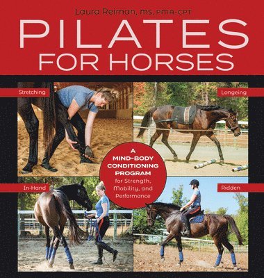 Pilates for Horses 1