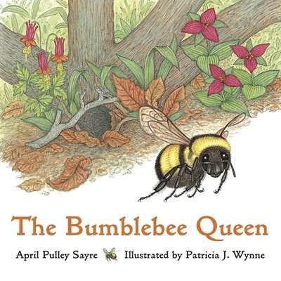 The Bumblebee Queen 1