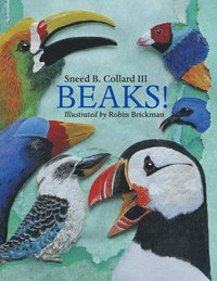 bokomslag Beaks!