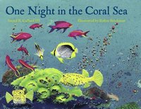 bokomslag One Night in the Coral Sea