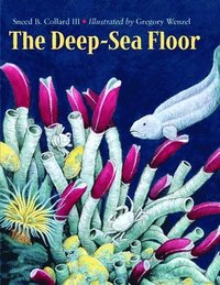 bokomslag The Deep-Sea Floor