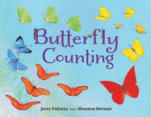 Butterfly Counting 1