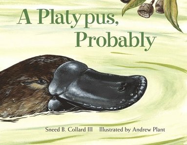 bokomslag Platypus, Probably