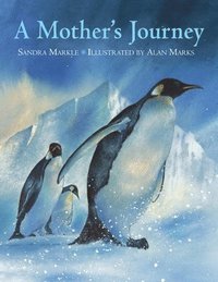 bokomslag A Mother's Journey