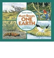bokomslag Many Biomes, One Earth