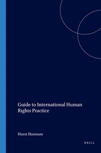 bokomslag Guide to International Human Rights Practice