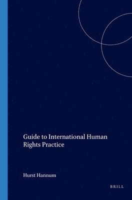 bokomslag Guide to International Human Rights Practice
