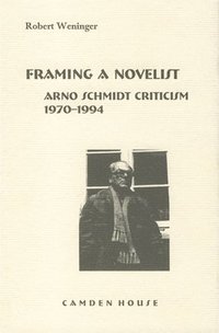 bokomslag Framing a Novelist
