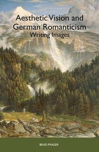 bokomslag Aesthetic Vision and German Romanticism