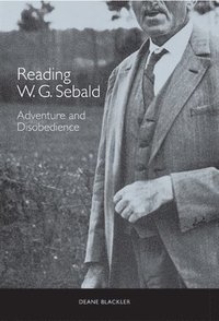 bokomslag Reading W. G. Sebald