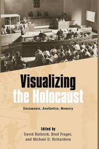 bokomslag Visualizing the Holocaust