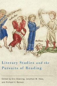 bokomslag Literary Studies and the Pursuits of Reading