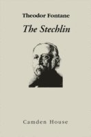 bokomslag The Stechlin