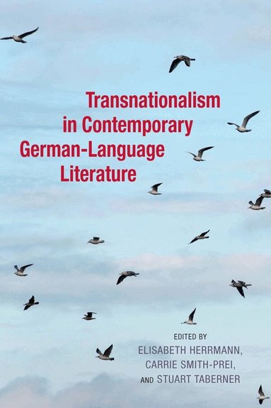 Elisabeth Herrmann, C. Smith-Prei / E. C. Smith-Prei / E. Herrmann, Stuart Taberner - Transnationalism in Contemporary German-Language Literature, Inbunden