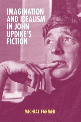 bokomslag Imagination and Idealism in John Updike's Fiction