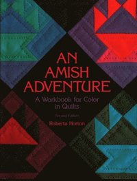 bokomslag Amish Adventure
