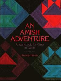 bokomslag An Amish Adventure