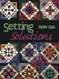 bokomslag Setting Solutions - Print on Demand Edition