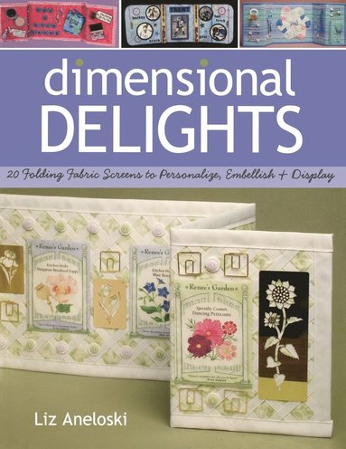 bokomslag Dimensional Delights- Print on Demand Edition