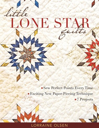 bokomslag Little Lone Star Quilts