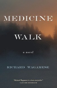 bokomslag Medicine Walk