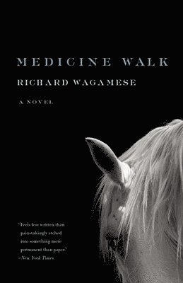 Medicine Walk 1