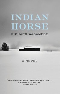 bokomslag Indian Horse
