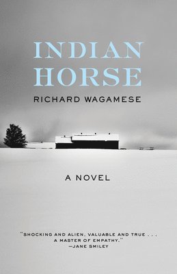 bokomslag Indian Horse