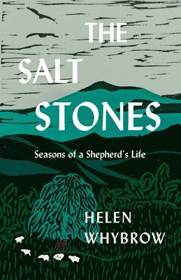 bokomslag Salt Stones