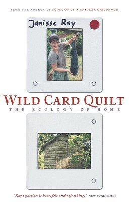 Wild Card Quilt 1