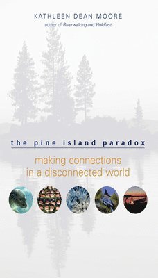 Kathleen Dean Moore - Pine Island Paradox, Häftad
