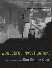 bokomslag Wonderful Investigations