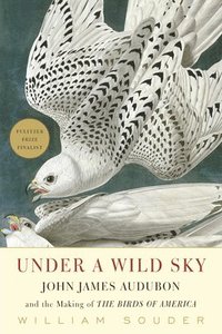 bokomslag Under a Wild Sky