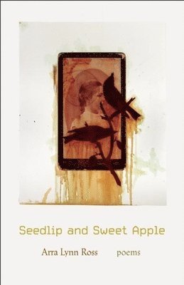 Seedlip and Sweet Apple 1