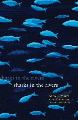 Sharks in the Rivers 1