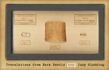 bokomslag Translations from Bark Beetle