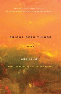 bokomslag Bright Dead Things