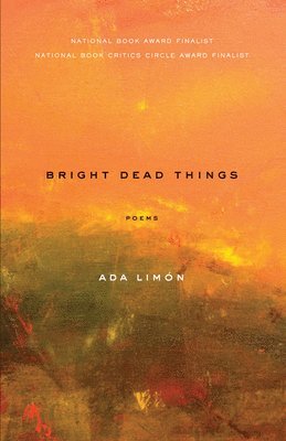 bokomslag Bright Dead Things