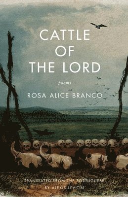 Cattle of the Lord 1